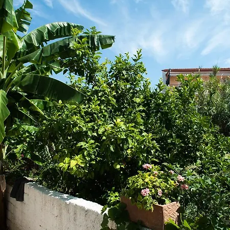 Studios Margarita Petalidi Exterior photo