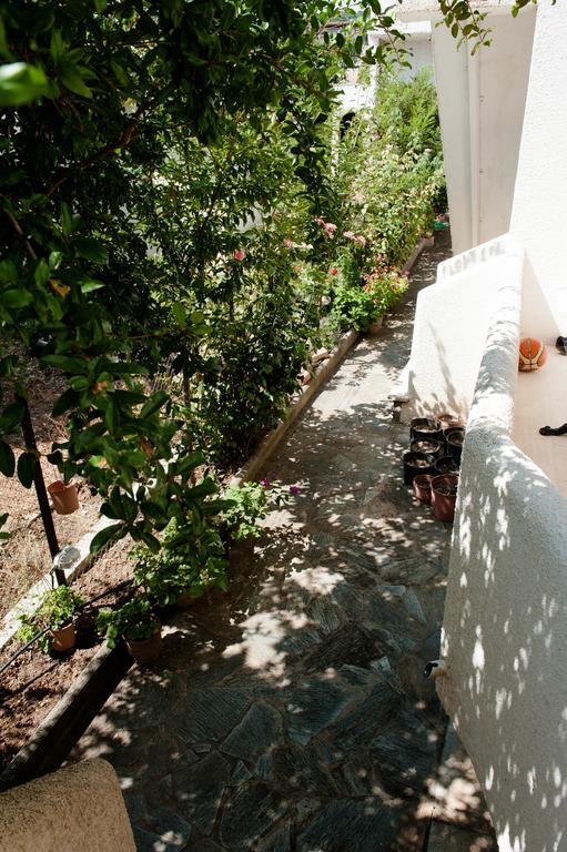 Studios Margarita Apartment Petalidi
