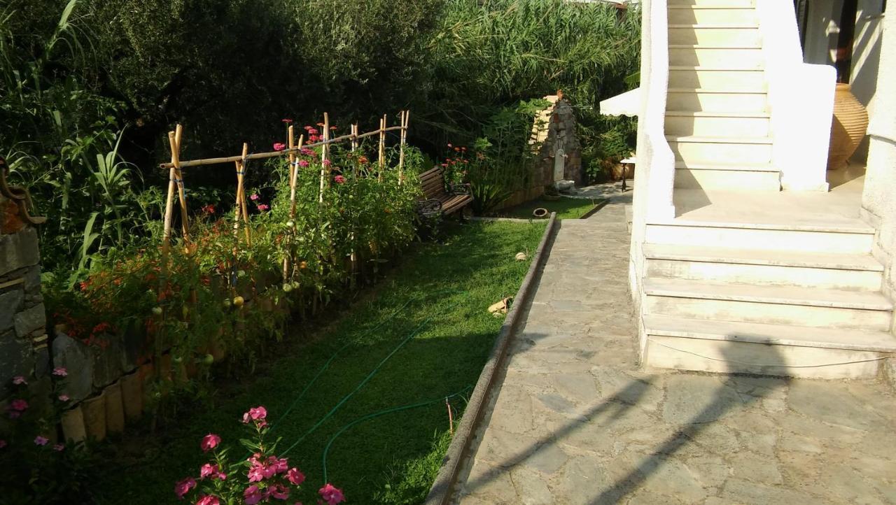 Studios Margarita Petalidi