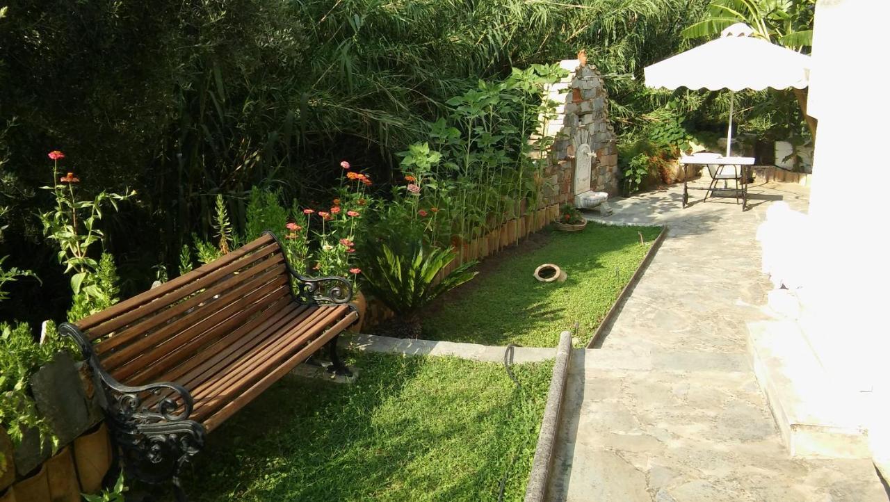 Studios Margarita *